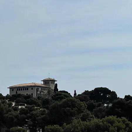 Gallu Cala Ratjada (Mallorca)